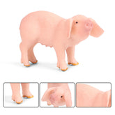 Fairy Garden Wild Pig